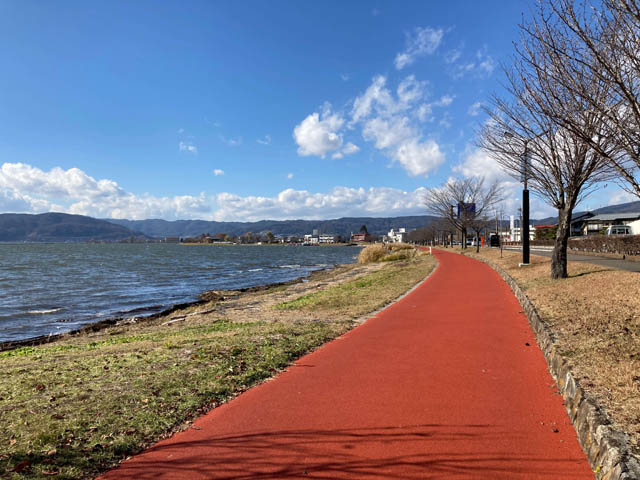 私がお昼にウォーキングする諏訪湖の周りのジョギングロードの写真